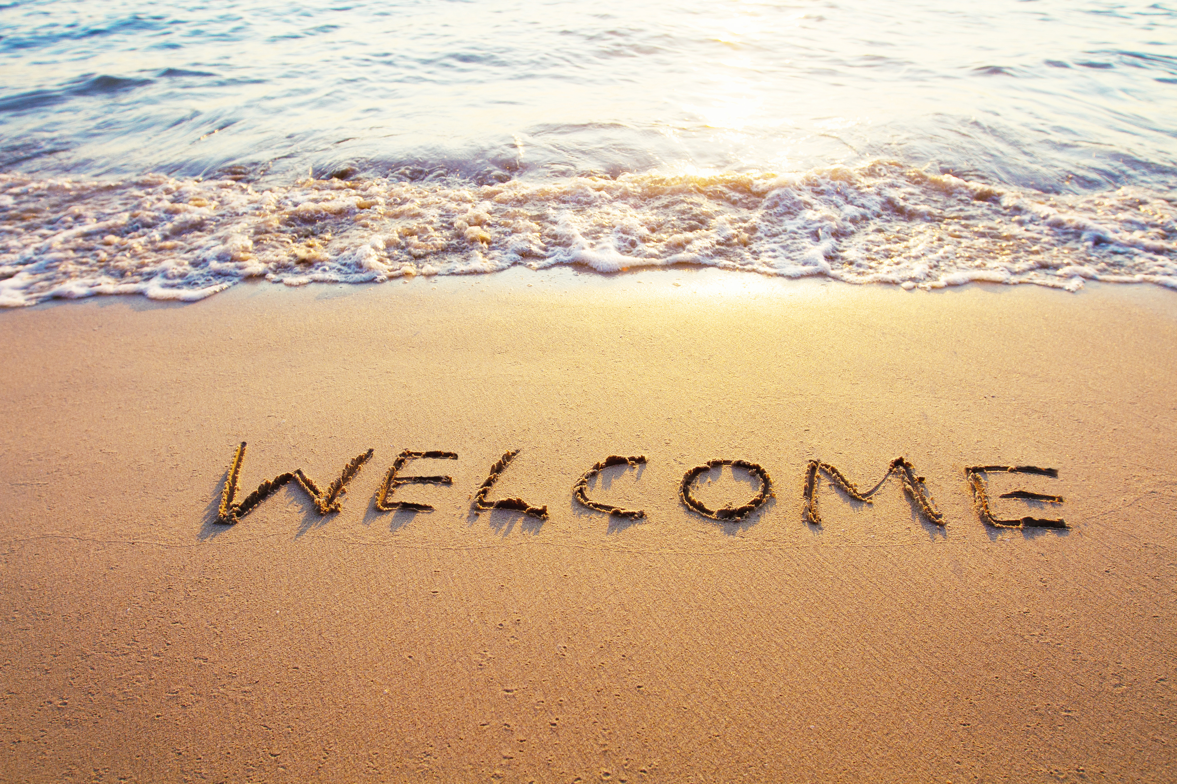 Welcome!